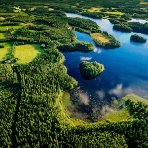 Skills That You Can Learn In The Real Estate Market